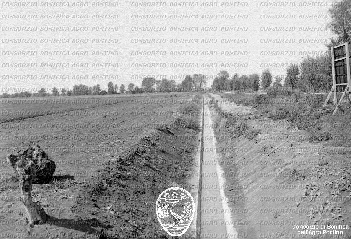 PONTINO/BOR002325.jpg