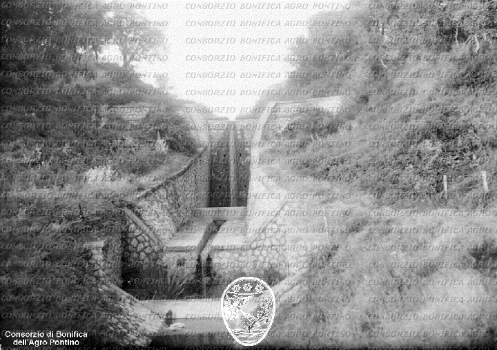 PONTINO/BOR002328.jpg