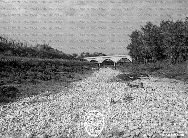 PONTINO/BOR002331.jpg