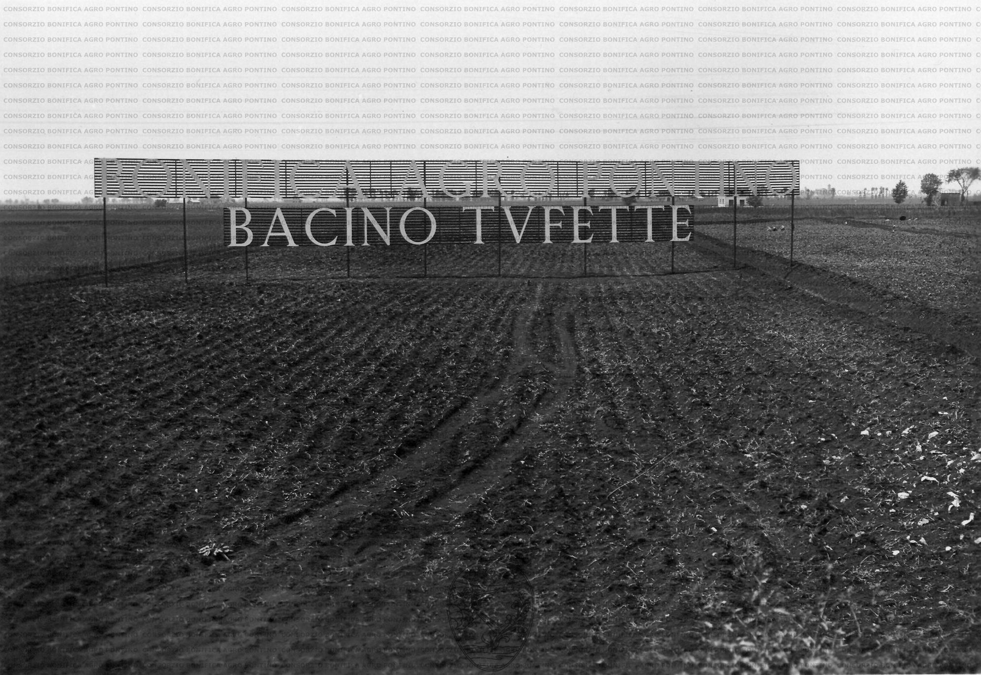 PONTINO/MAZ000198.jpg