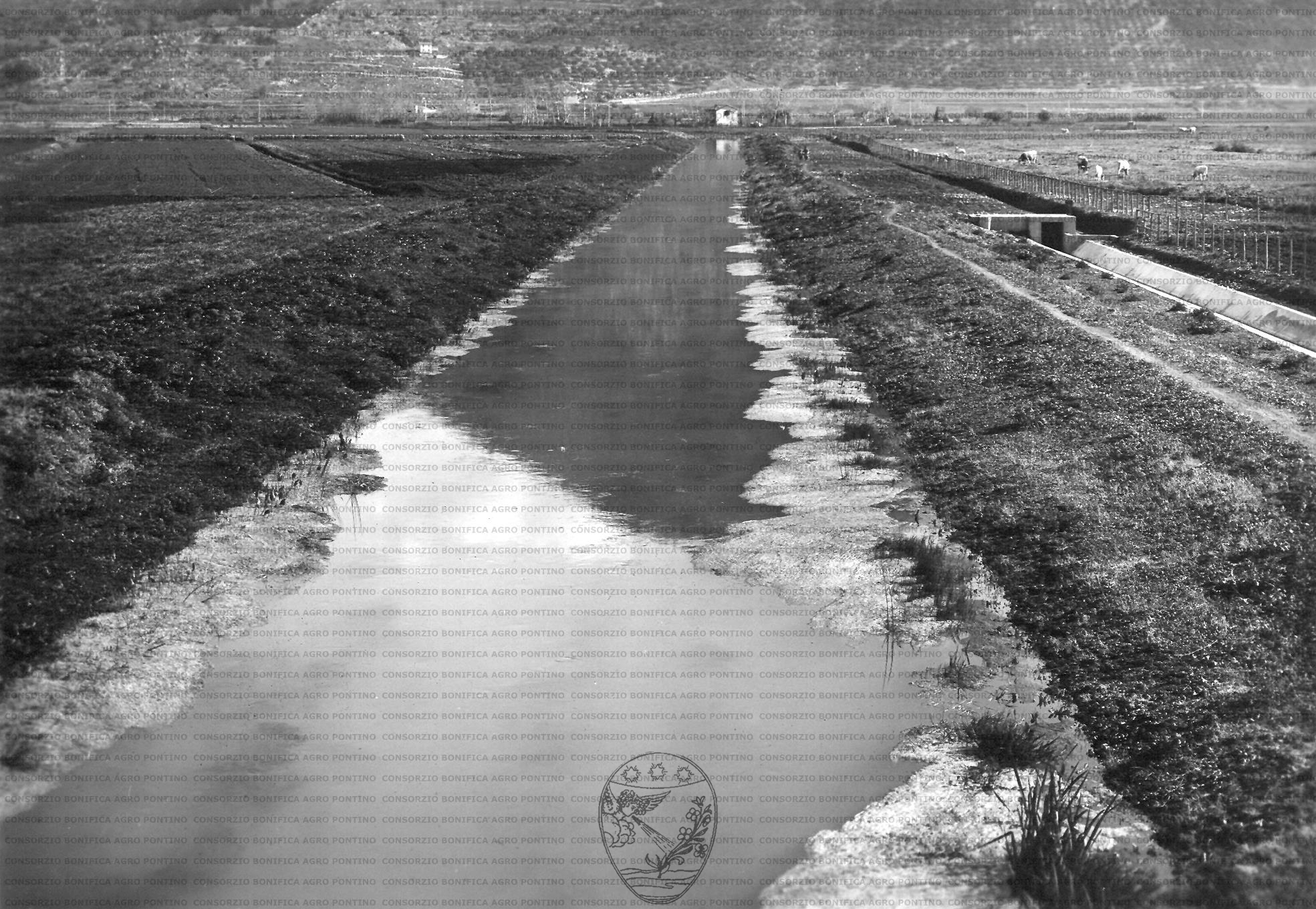 PONTINO/MAZ000224.jpg