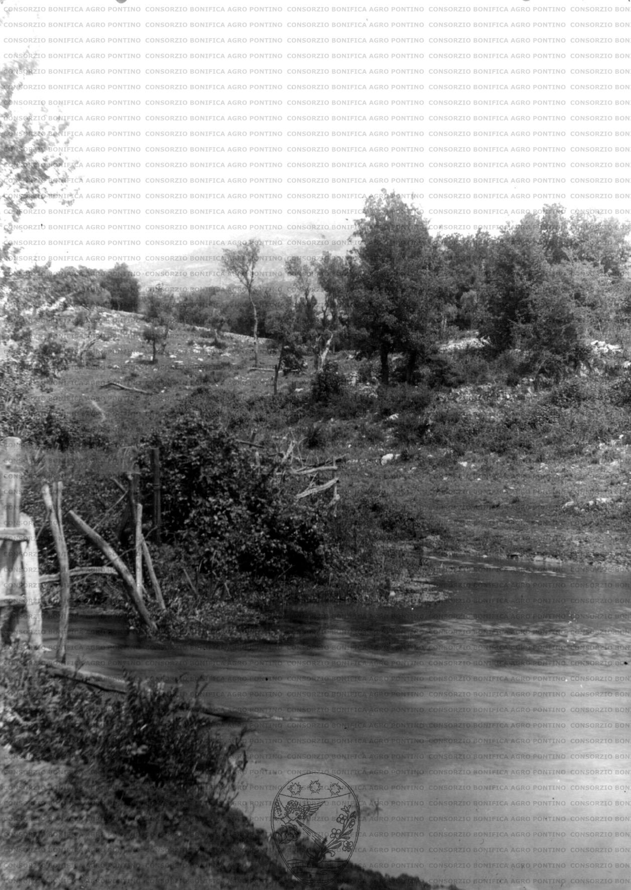 PONTINO/MAZ000407.jpg