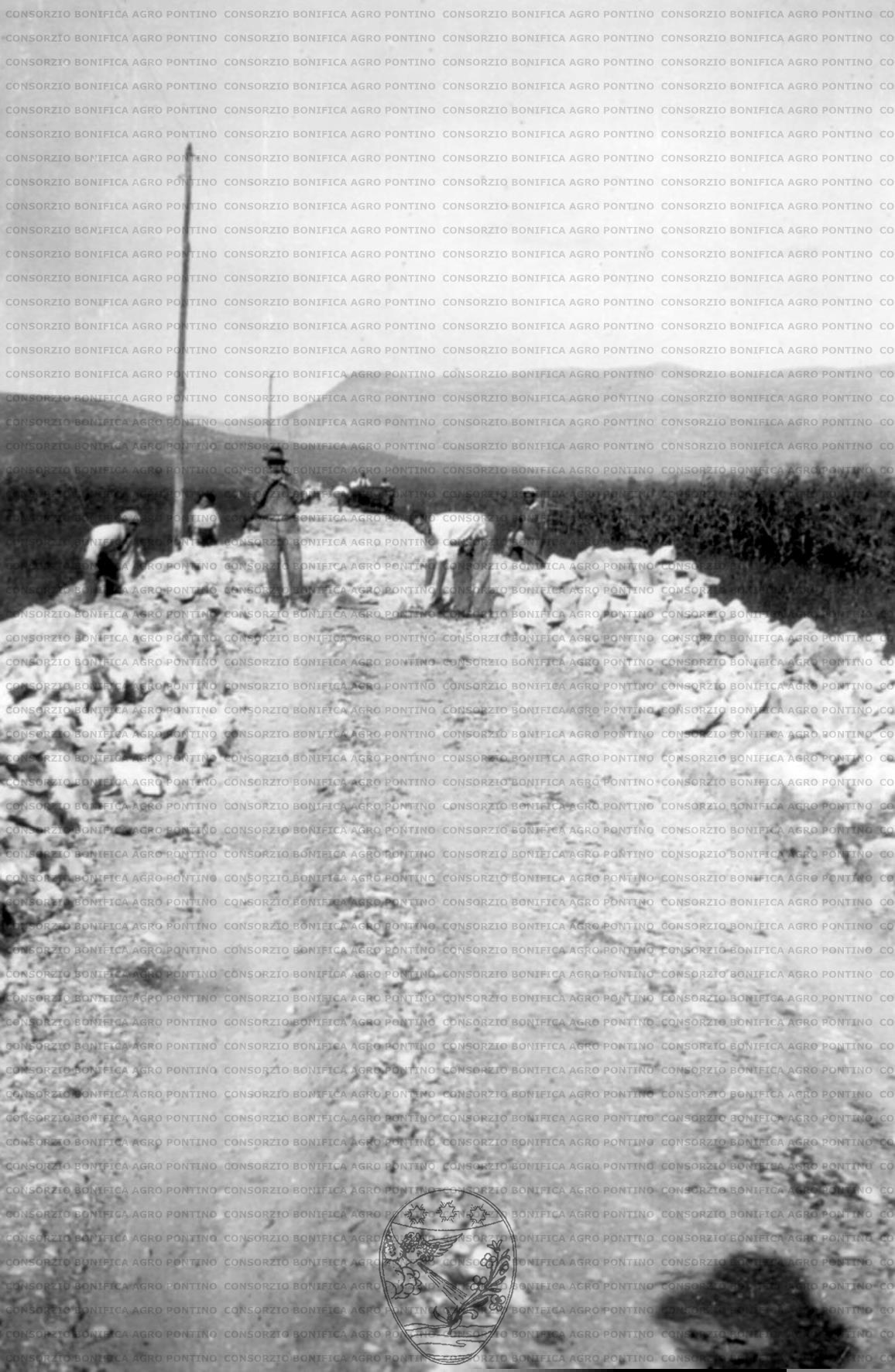 PONTINO/MAZ000518.jpg