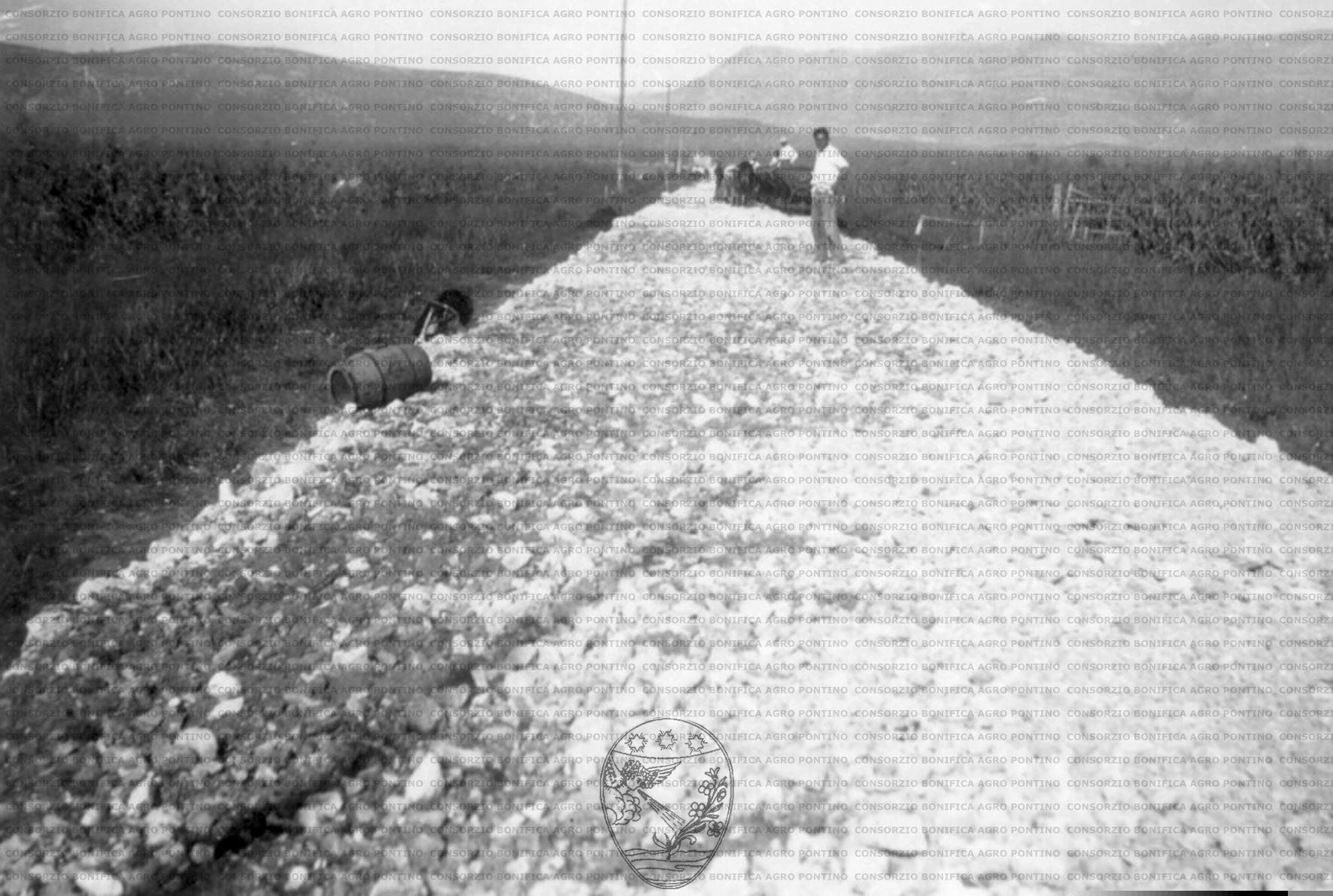 PONTINO/MAZ000520.jpg