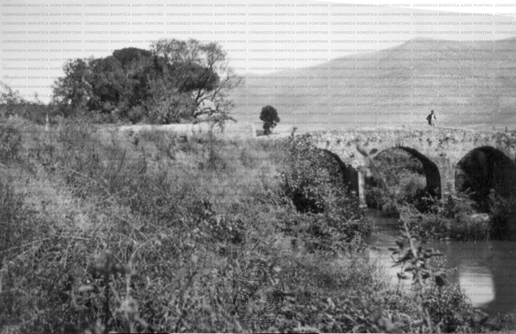 PONTINO/MAZ000528.jpg
