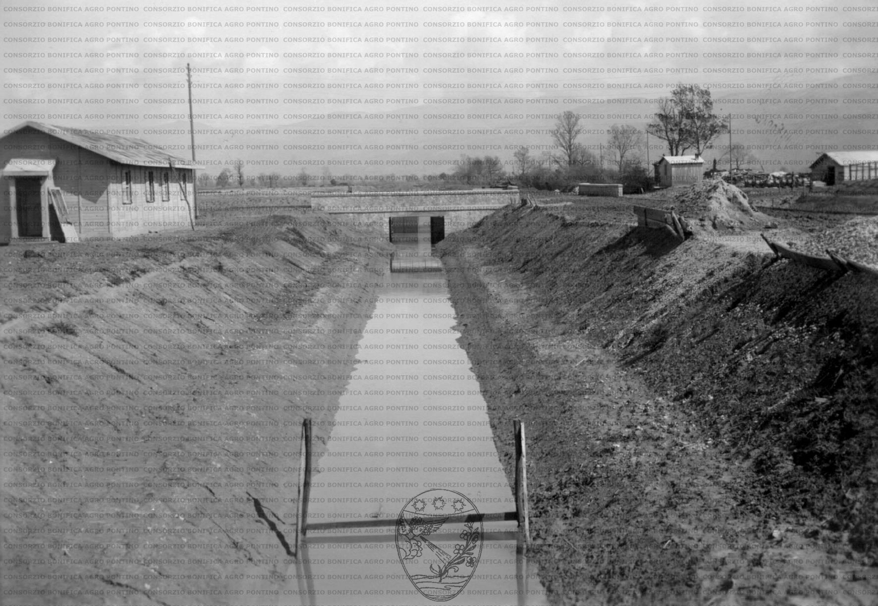 PONTINO/MAZ000551.jpg