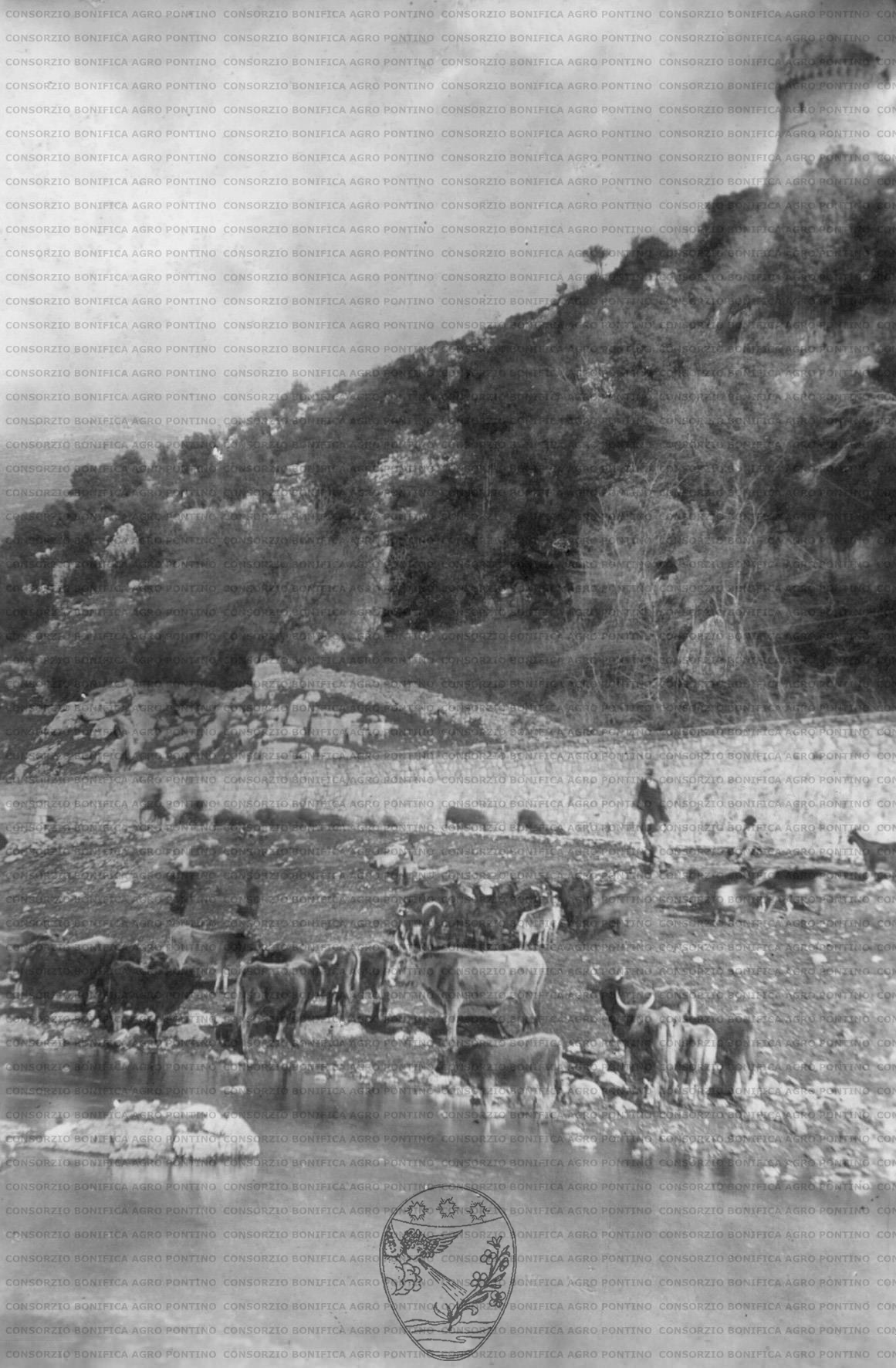 PONTINO/MAZ000565.jpg