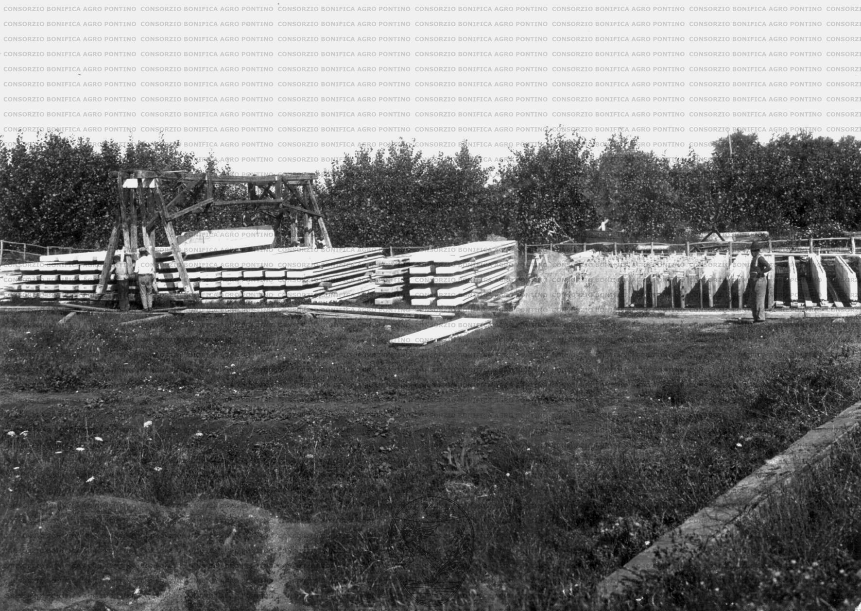 PONTINO/MAZ000601.jpg