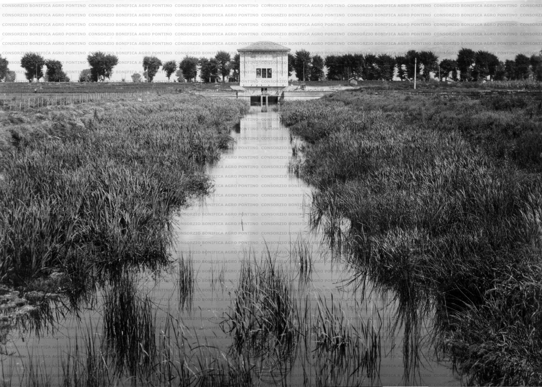 PONTINO/MAZ000619.jpg