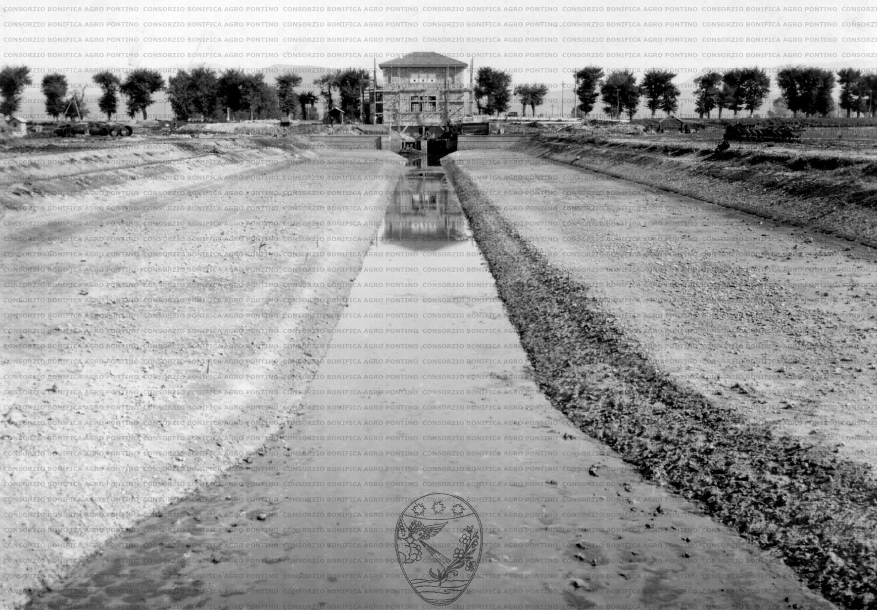 PONTINO/MAZ000622.jpg