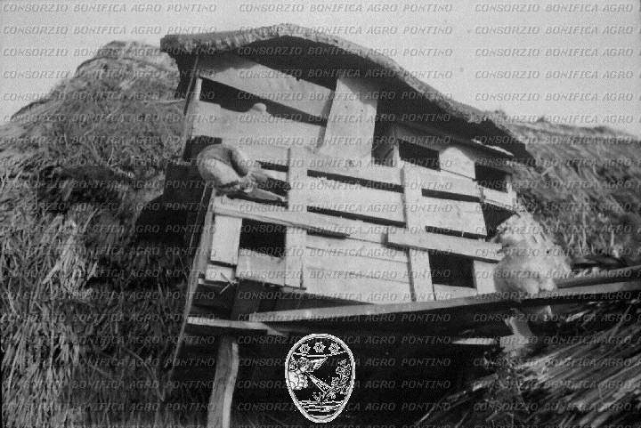 PONTINO/ROM000224.jpg