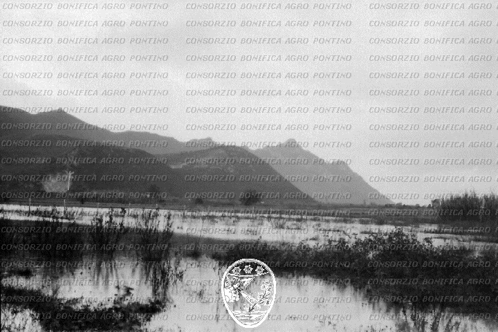 PONTINO/ROM000226.jpg