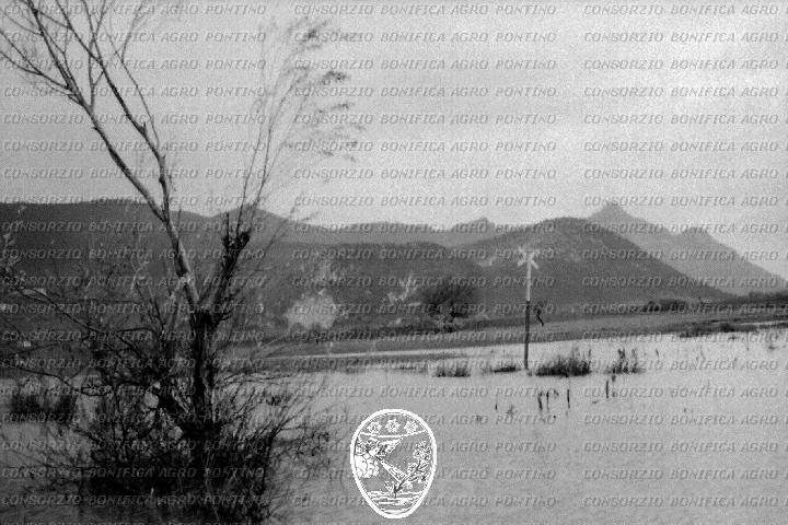 PONTINO/ROM000231.jpg