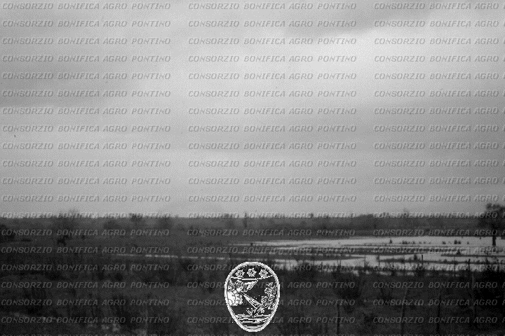 PONTINO/ROM000239.jpg