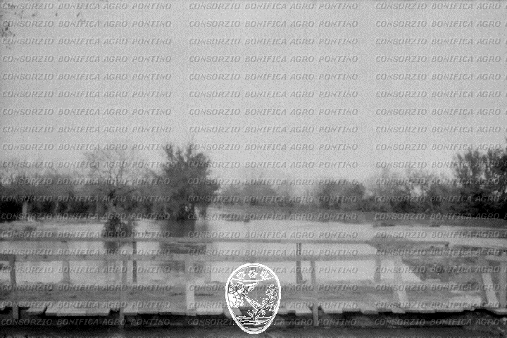 PONTINO/ROM000267.jpg