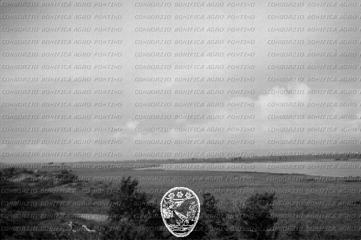 PONTINO/ROM000473.jpg