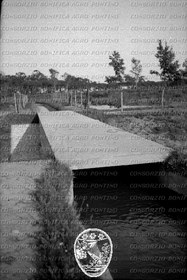 PONTINO/ROM000525.jpg
