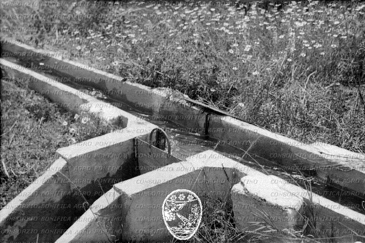PONTINO/ROM000652.jpg