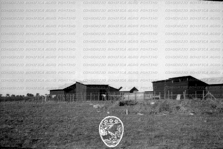 PONTINO/ROM000687.jpg