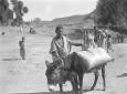 Axum, tipi di indigeni