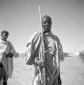 Soldato eritreo