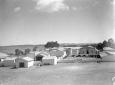 Asmara