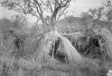 Capanna indigeni