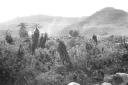 Paesaggio etiopico