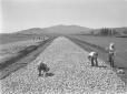 Costruzione di strade