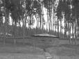 Apprestamenti difensivi