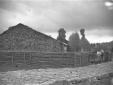 Fattoria
