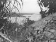 Veduta del Lago Tana