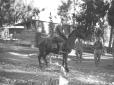 Militare in sella al suo cavallo
