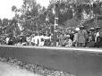 Pubblico sulle tribune dell'ippodromo