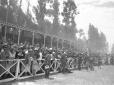 Pubblico sulle tribune dell'ippodromo