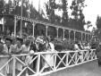 Pubblico sulle tribune dell'ippodromo