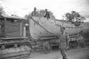 Trasporto con caterpillar