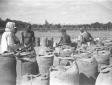 Somali al lavoro