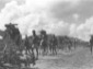 Truppe cammellate in marcia