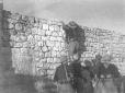 Camicia nera si arrampica su un muro
