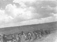 Popolazione indigena