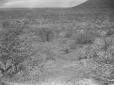 Paesaggio in Somalia