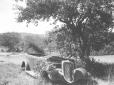 Automobile fuori strada