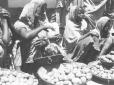 Donne indigene al mercato di Harar