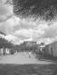 Dire Daua