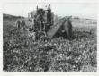 Un mezzo meccanico per il raccolto agricolo al lav ...