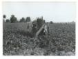 Un mezzo meccanico agricolo al lavoro su un terren ...