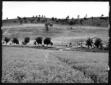 Veduta panoramica di un podere. Sulla destra, si n ...