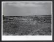 Veduta della zona dove sorgeranno i poderi n. 6 e  ...