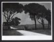 Un lungo viale alberato conduce al podere n. 30, d ...